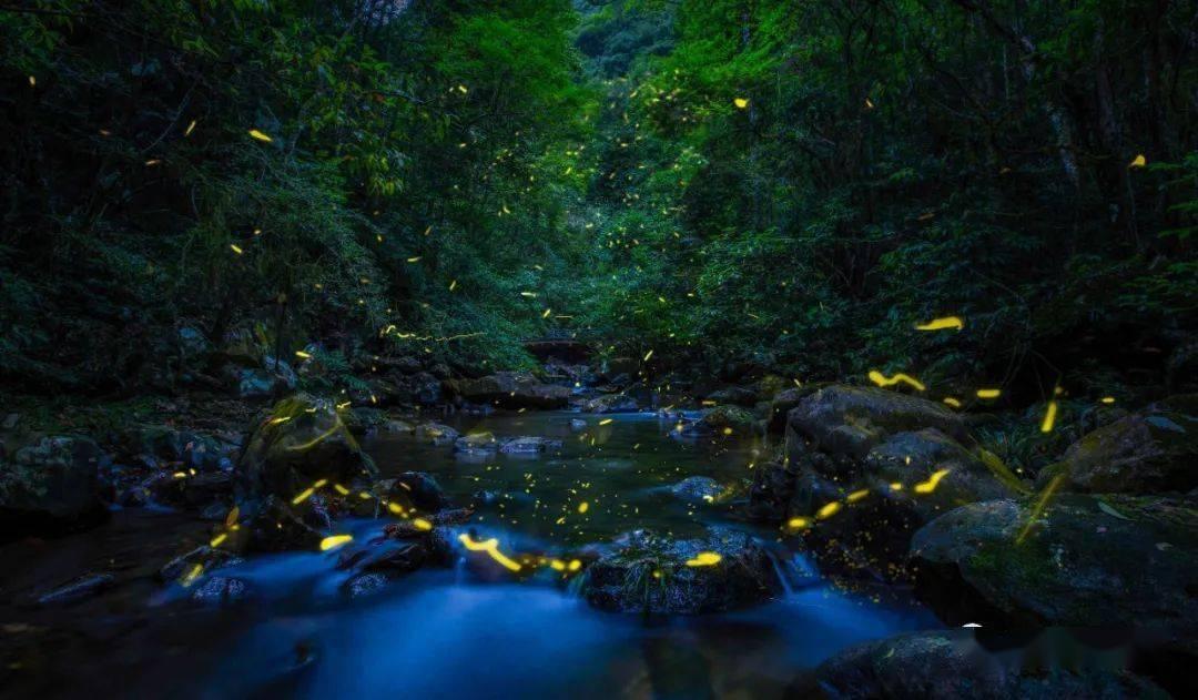 疾速问答,尽在